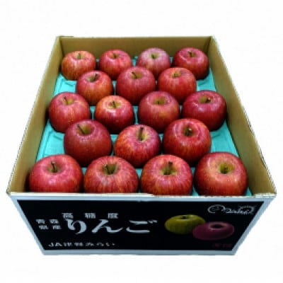 青森県産りんご10kg(サンふじ)