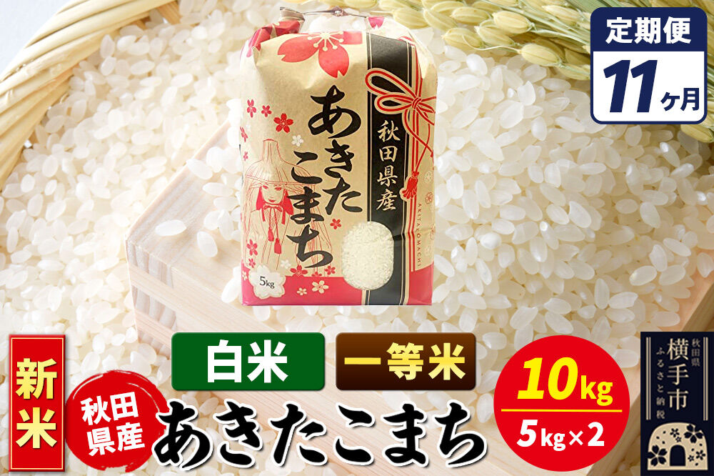 《新米》《定期便11ヶ月》あきたこまち 一等米 10kg【白米】秋田県産 こまちライン [新米 こまちライン あきたこまち ブランド米 お米 白米 精米 米どころ 秋田 秋田県産]