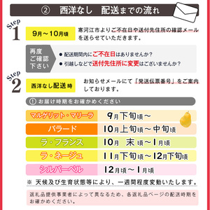 令和6年産 洋梨「ラ・ネージュ」 2kg（5～10玉） 秀品以上 《化粧箱入り》 サイズおまかせ 山形産 2024年産 【2024年11月下旬頃～12月下旬頃発送予定】　012-B-AF006