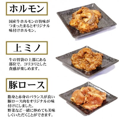 【飛騨牛】焼肉4種B-3セット　赤身肉と味付けホルモンなど　合計1kg【配送不可地域：離島】