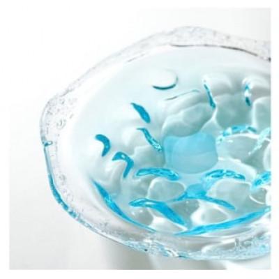 ふるさと納税 九十九里町 【70周年記念】【九十九里町ふるさと納税限定】Sghr スガハラ　なぎさプレート |  | 01