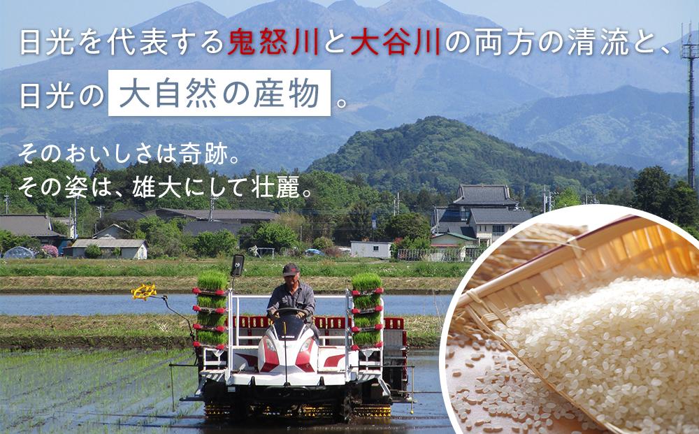 令和7年産 特別栽培米 ゆうだい21　4Kg（2Kgｘ2）｜お米 減農薬 無化学肥料栽培 栃木県 日光市