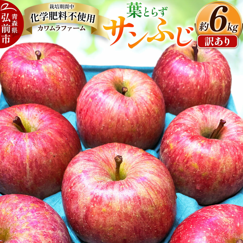 【ふるさと納税】【寄附金額見直しました】りんご 葉とらず サンふじ 約6kg カワムラファーム 訳あり 青森 果物 フルーツ 林檎 リンゴ くだもの 不揃い 規格外