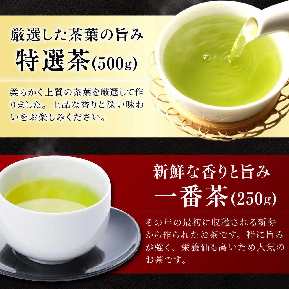 舳五山茶　特撰茶・一番茶セット 計750g / 茶 ちゃ お茶 おちゃ 緑茶 りょくちゃ 日本茶 茶葉 / 御嵩町 / 舳五山茶園委員会[AVAD002]