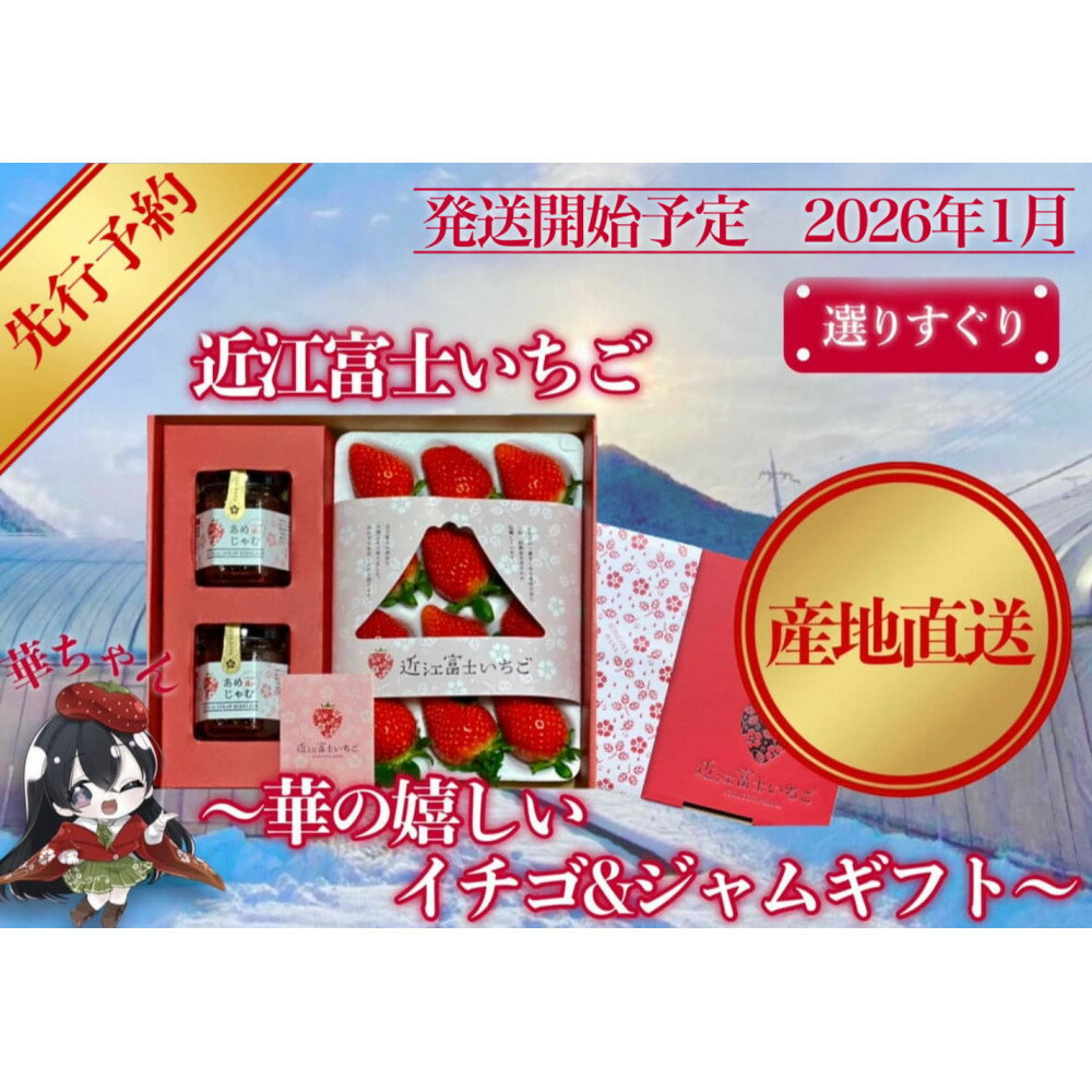 【ふるさと納税】先行予約『近江富士いちご』選りすぐり！華の嬉しいイチゴ＆ジャムセット【イチゴ9~15粒1トレイ　ジャム2瓶】