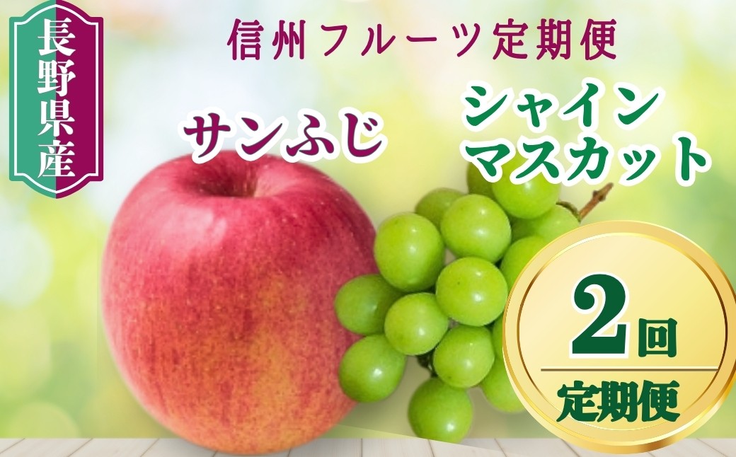 
                  2回定期便：シャインマスカットとサンふじ 信州フルーツ定期便（ぶどう・りんご）| 果物 フルーツ リンゴ 林檎 サンフジ さんふじ 白ぶどう 葡萄 ブドウ 千曲市 長野県 信州
                