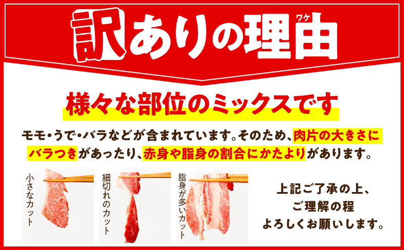 【定期便】国産 牛肉 切り落とし 1.2kg×全3回 総量 3.6kg【国産 牛肉 氷温熟成×極味付け 訳あり サイズ不揃い カレー 牛丼 野菜炒め 肉じゃが 家計応援 毎月配送コース】