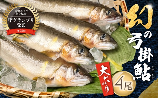 【先行予約】（2026年8月中旬頃から発送）幻の弓掛鮎 4尾以上 大型（1尾 約80g前後以上）計320g以上【冷凍パック】天然鮎  ジャンボ あゆ アユ ゆがけ 下呂市 金山 クラブハウス馬瀬川