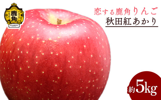 《 先行予約 》 鹿角 りんご「秋田紅あかり」 約 5kg 【恋する鹿角カンパニー】●2026年11月中旬発送開始 かづのりんご 食感 果汁 さっぱり リンゴ 完熟 旬 りんご 林檎 お中元 お歳暮 贈り物 お見舞い グルメ ギフト 故郷 秋田 あきた 鹿角市 鹿角 紅あかり 送料無料