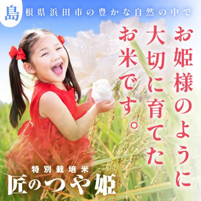 ふるさと納税 浜田市 【令和6年産】特別栽培米「匠のつや姫」　5kg×2袋 |  | 01
