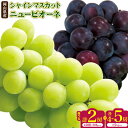 【ふるさと納税】シャインマスカット【晴王】 & ニューピオーネ 選べる 各500~600g以上(各1房) 計5kg以上(各4~5房) 【先行予約】 株式会社Myself《2025年9月上旬-11月上旬頃出荷》マスカット 送料無料 岡山県 浅口市 ぶどう フルーツ 果物 贈り物 ギフト