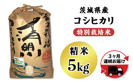 04-03【3ヶ月定期便】茨城県特別栽培認証 清明川コシヒカリ白米5kg【令和6年産新米】【米 おこめ こしひかり  特別栽培米 農家直送 直送 茨城県 阿見町】