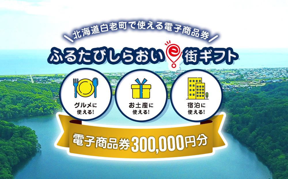 【ANAの旅先納税】ふるたびしらおいe街ギフト　300,000円分 EG007