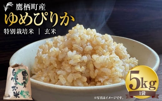 【令和7年産】 ゆめぴりか （ 玄米 ） 5kg 北海道 鷹栖町 たかすタロファーム 米 コメ こめ ご飯 お米