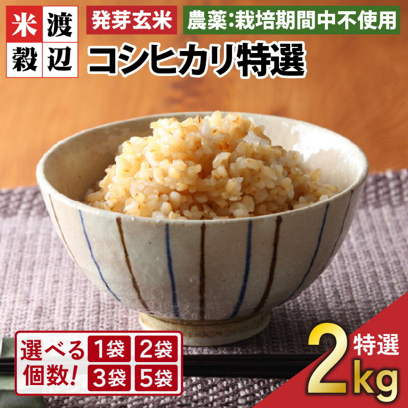 【ふるさと納税】【令和7年産】【発芽玄米】 コシヒカリ「特選」 特別栽培米使用 1袋 / 2袋 / 3袋 / 5袋 (2kg〜10kg) 【選べる個数】【無洗米 米 こしひかり 玄米 ギャバ GABA 特別栽培 食物繊維 栄養 真空パック ごはん ご飯 おいしい ふるさと納税米】