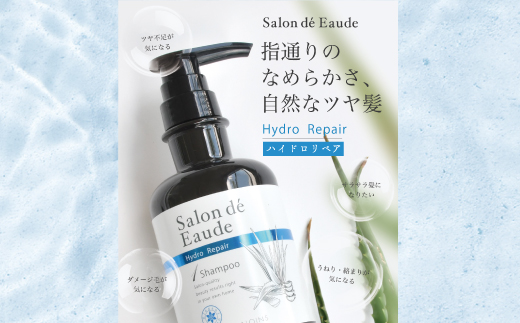 3回 定期便 サロン・ド・オーデ ハイドロリペア シャンプー ＆ トリートメント つめかえ用 各 440ml 2本 セット 合計 6本 ダメージ補修 ボトル 液体 アロインス製薬 美容 美容品 化粧品