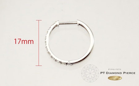 アクセサリー ダイヤモンドピアス PT CS685 ジュエリー