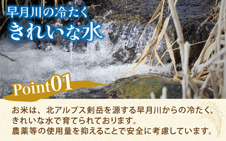 【12ヶ月定期便】富山県滑川産 弱アルカリ性米「ピロール農法米 コシヒカリ」（精米5kg）×12回 計60kg 与文のお米 産地直送 こしひかり おにぎり お米 白米 国産 ご飯 ごはん 滑川市 ピロ