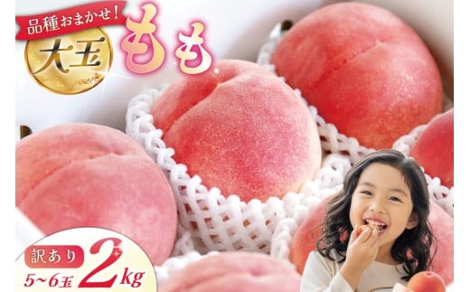 【2026年発送】 訳あり 桃 山梨 大玉 5～6玉 約 2kg もも モモ 2キロ 果物 フルーツ くだもの 果実 朝採れ 朝どれ 旬 季節限定 期間限定 数量限定 冷蔵 大玉桃 デザート 農園直送 産地直送 ジューシー 厳選 [斉藤農園 山梨県 韮崎市 20743040]