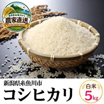 ふるさと納税 糸魚川市 【令和8年産】能生米コシヒカリ 5kg　白米　新潟県糸魚川市能生谷産
