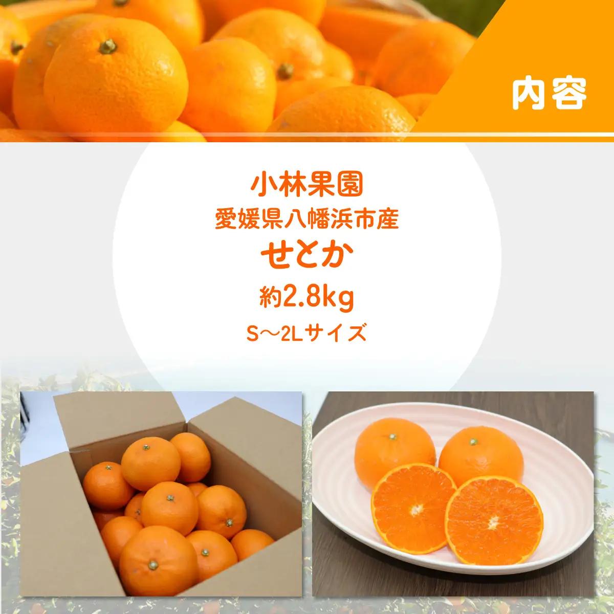 【先行受付】愛媛・小林果園のせとか 約2.8kg【C24-31】【1519398】 YWTAD022