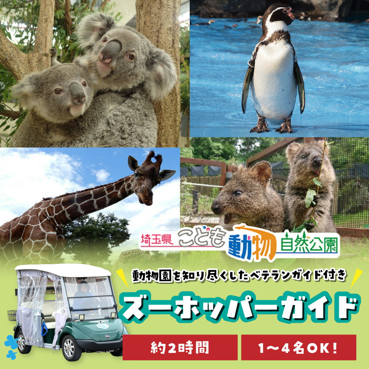 【ふるさと納税】埼玉県こども動物自然公園 ズーホッパーガイド利用券 | 動物園 見学 こども 子供 家族 ファミリー コアラ クオッカ カンガルー ペンギン 自然体験 小学生 家族で楽しむ イベント アクティビティ 学びの場 入場券 日帰り 1人 2人 3人 4人 埼玉県 東松山市