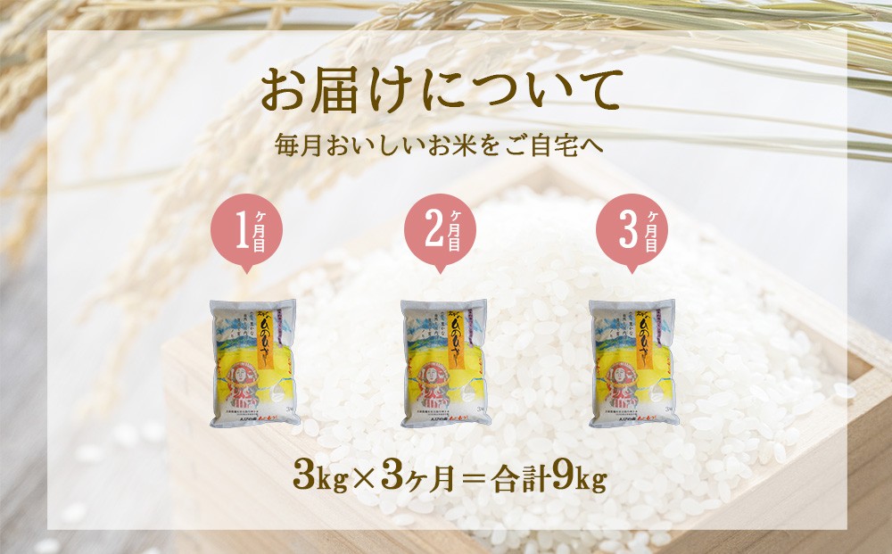 【定期便】えびの産 ひのひかり 3kg×3ヶ月