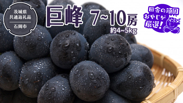 巨峰 約4～5kg 7〜10房 【令和6年8月より発送開始】（茨城県共通返礼品：石岡市産）田舎の頑固おやじが厳選！ ぶどう ブドウ 葡萄 高糖度 大粒 甘い 美味しい フルーツ