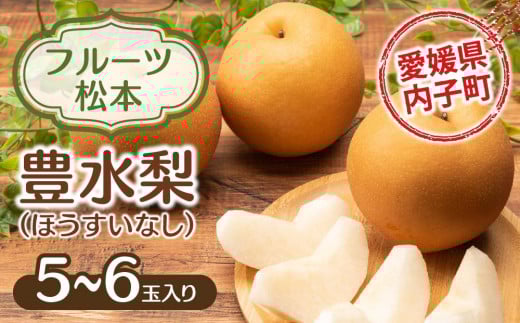 
            フルーツ松本の豊水梨(ほうすいなし)（1）【5～6玉入り】【フルーツ 果物 くだもの 食品 人気 おすすめ 送料無料】
          