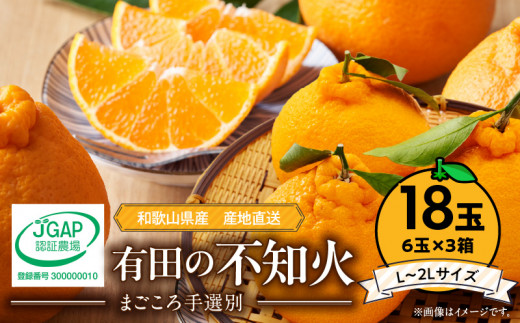 ZE6112n_有田の不知火(しらぬひ)　6玉× 3箱（L～2Lサイズ）まごころ手選別