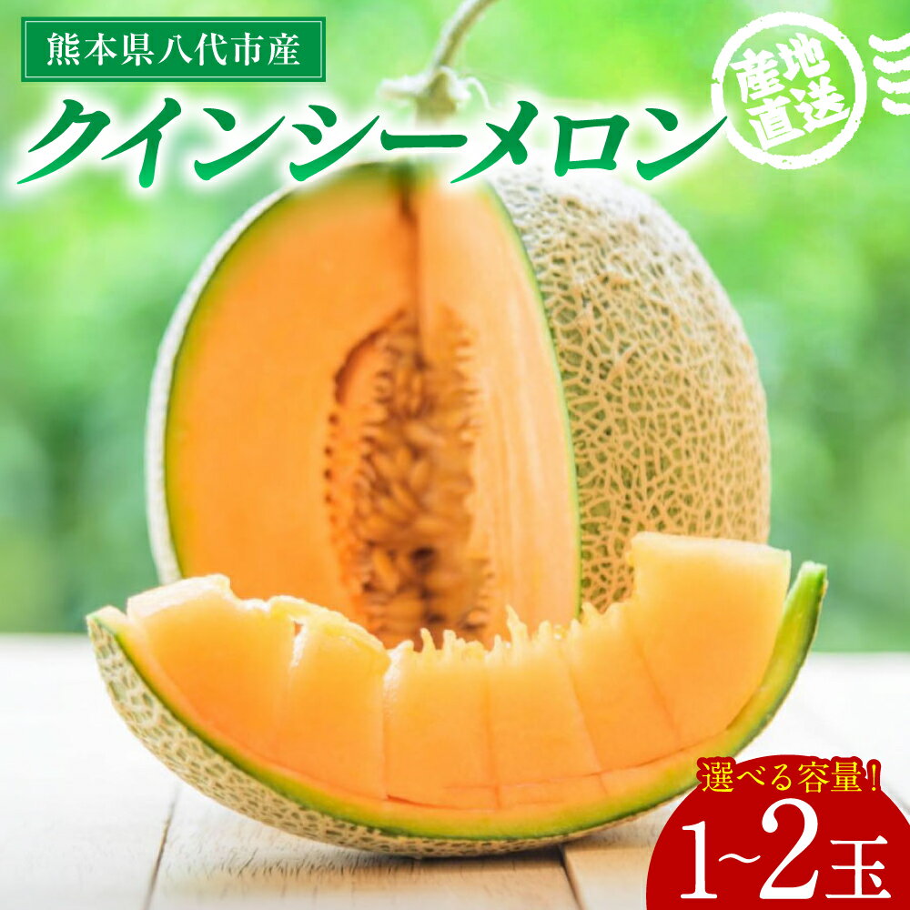 【ふるさと納税】【先行予約】 産地直送 クインシーメロン 1玉 ～ 2玉 【選べる内容量】 クインシー メロン めろん 赤肉メロン 赤肉 果物 くだもの フルーツ デザート 贈り物 国産 熊本県 八代市 送料無料 【2026年5月下旬より順次発送】