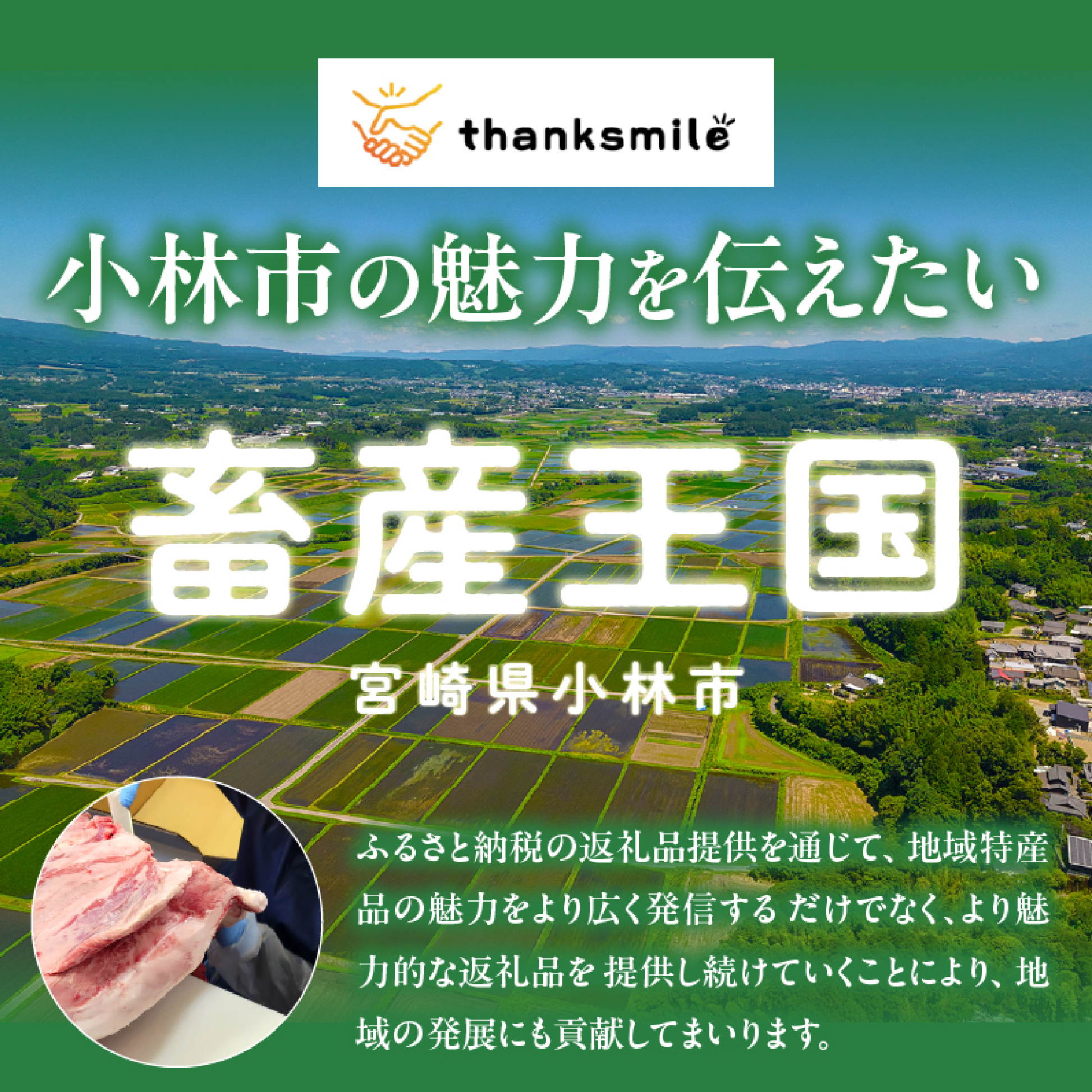 【A4等級以上】宮崎牛シャトーブリアン 2枚 計300g（内閣総理大臣賞 A4 A5 宮崎牛 牛肉 黒毛和牛 赤身 希少部位 焼肉 ステーキ）
