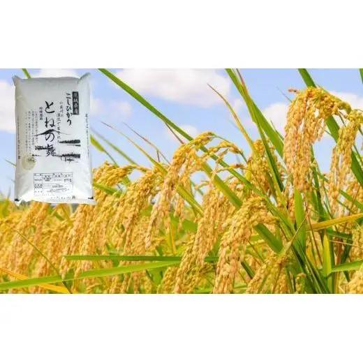 【9ヶ月定期便】《 令和7年産 》米 コシヒカリ 「 とねの舞 」 精米 10kg ／ 米 こめ コメ お米 おこめ コシヒカリ こしひかり とねの舞 白米 ごはん 令和7年産 10kg 定期便 茨城