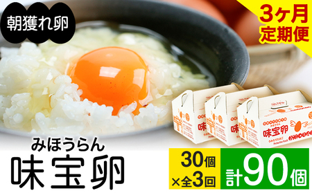 【定期便】計3回お届け 朝獲れ卵 味宝卵 (計90個) 30個×3回お届け 卵 Lサイズ 鶏卵 《お申込み月の翌月より出荷開始》 福岡 鞍手町 卵 Lサイズ 鶏卵 送料無料