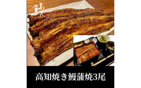 高知焼き鰻蒲焼3尾