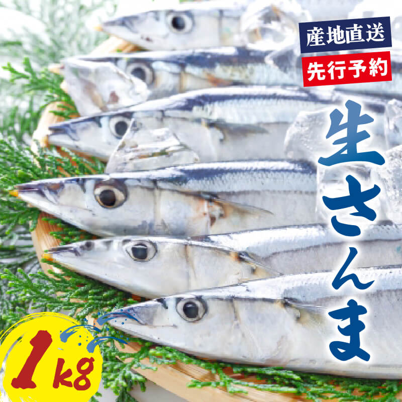 【ふるさと納税】 【2026年先行予約】 さんま 約1kg サンマ 冷蔵 鮮さんま 秋刀魚 発送予定 2026年9月中旬〜11月末まで 限定 期間限定 旬 簡単調理 焼き魚 煮魚 フライ おかず おつまみ 晩酌 米 丼 海産物 海鮮 魚介 魚介類 三陸 岩手県 大船渡市 2026 予約 先行