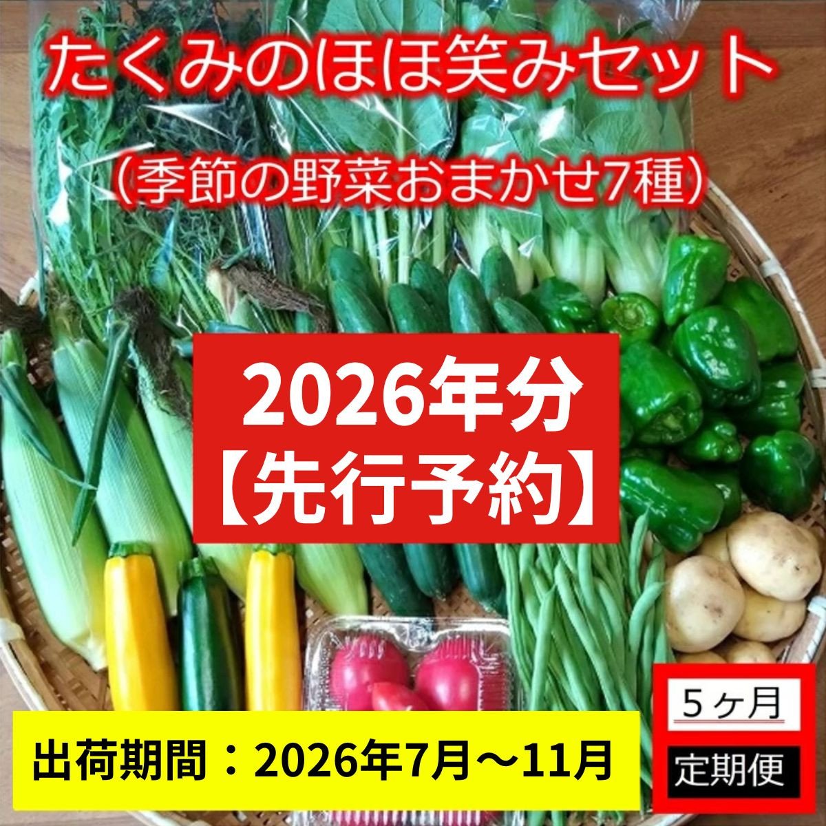 
            【5ヶ月定期便】旬の野菜7種『たくみのほほ笑みセット』（2026年7～11月出荷／北海道・九州・沖縄県・離島は配送不可） 旬彩 長野県 信州 おまかせ 高原  産地直送 季節 詰合せ 有機 栽培 先行予約
          
