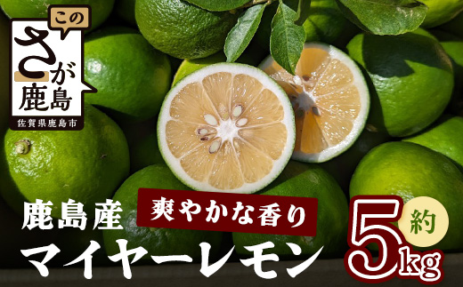【産地直送】【農家直送】【予約受付】【数量限定】佐賀県鹿島市産 マイヤーレモン 5kg サイズ混合【9月中旬頃より配送】B-726