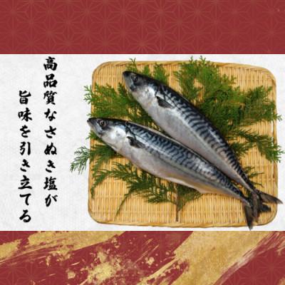 ふるさと納税 銚子市 一汐さば　8kg |  | 01