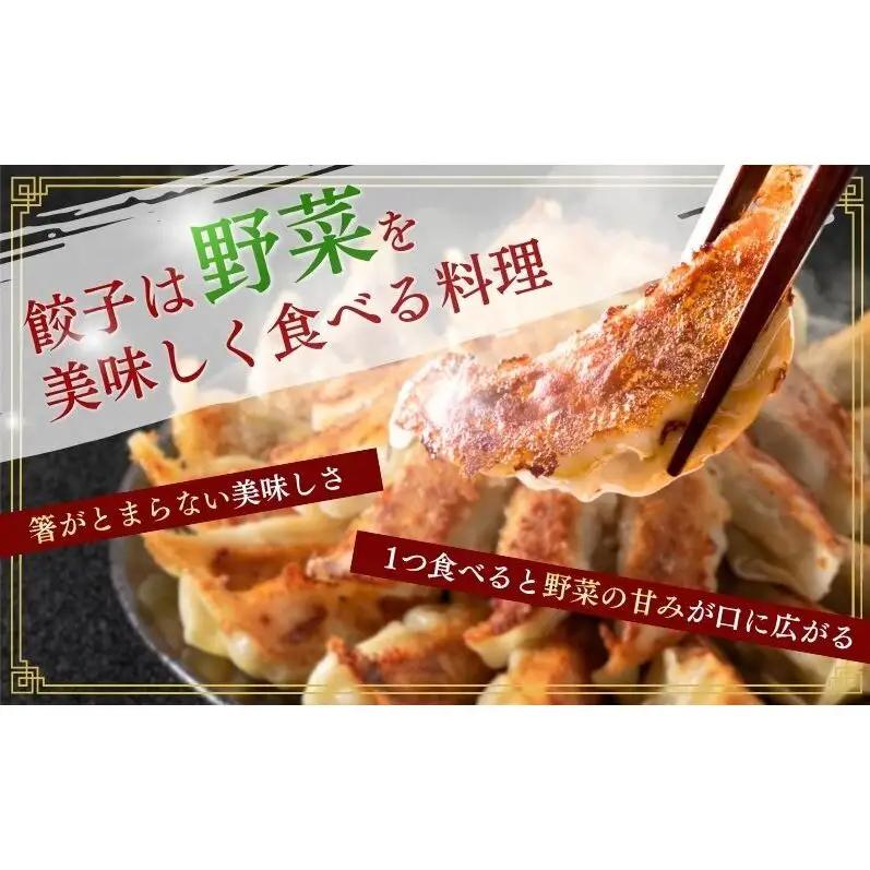 にんにく餃子88個(22個×4袋) 餃子 冷凍餃子 冷凍ギョーザ 手作り餃子 ギョーザ 点心 中華 中華料理 惣菜 簡単調理 加工食品 静岡県 森町