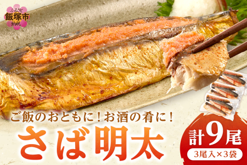 さば明太 9尾【B1-057】