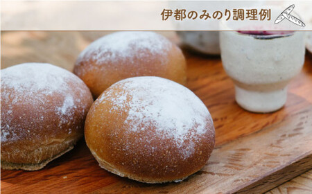 特別栽培小麦使用「糸島ブラン」と「伊都のみのり」セット 糸島市 / 天然パン工房楽楽【いとしまごころ】 小麦粉 国産[AVC003]