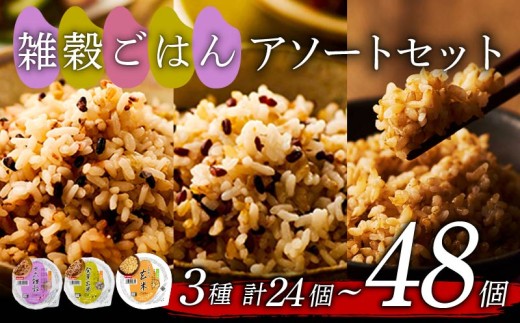 雑穀 ごはんパック 3種 セット 160g 48個 玄米 十六穀米 発芽玄米 パックごはん パックご飯 ごはんパック ご飯パック パックライス パック 16雑穀 雑穀 米 ごはん ご飯 こめ ライス 備蓄 保存 防災 レンジ 温めるだけ レンチン 簡単 調理 健康 ダイエット 美容 栄養 ヘルシー 48 48食 レトルト インスタント おいしい 人気 国産 こしひかり おくさま印 大阪 松原