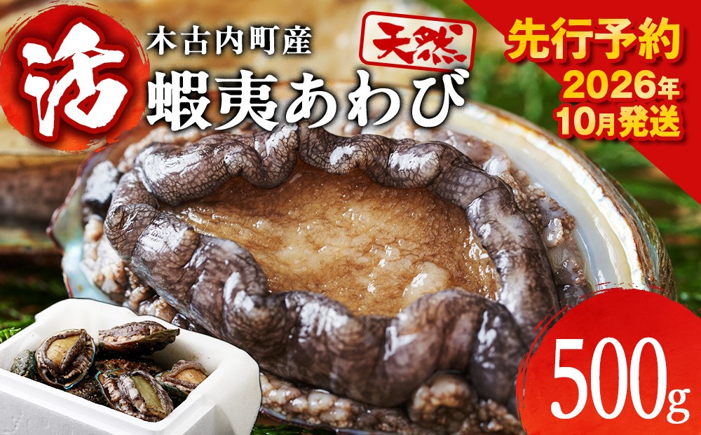 
                  【2026年10月以降発送】活あわび500ｇ　木古内産　
                