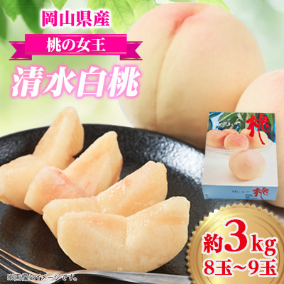 2026年先行予約　岡山県産　清水白桃　3kg(8～9玉)【配送不可地域：離島】