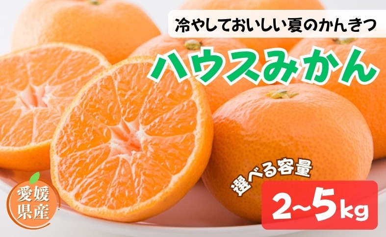 
                  ハウスみかん ご家庭用 【選べる容量】 2kg 5kg サイズミックス 【7月下旬から順次発送予定】 みかん 人気 数量限定 柑橘 愛媛 伊予市
                