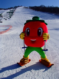 2025～2026　ぴっぷスキー場シーズン券（シニア65歳以上／中学生）