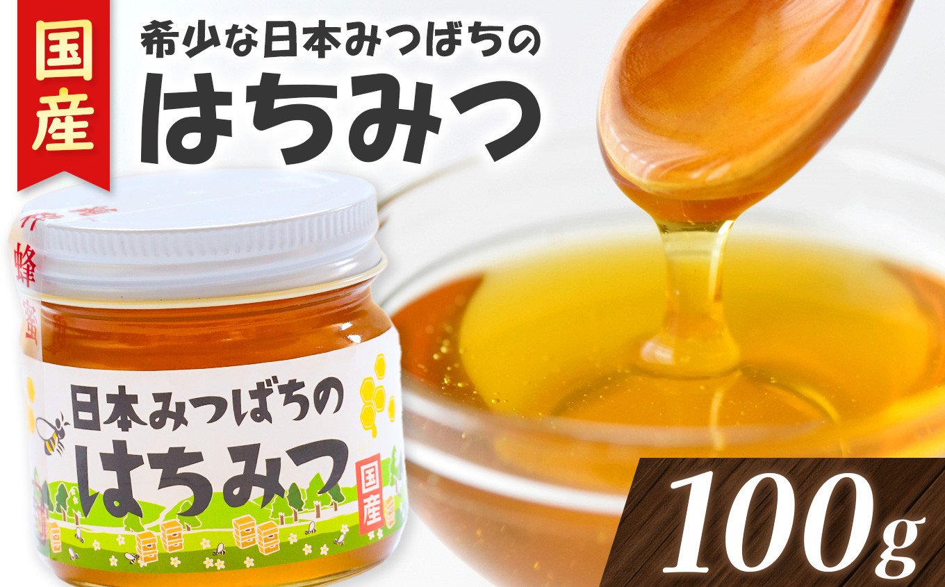 
            希少 日本みつばち の ハチミツ 100g | 国産蜂蜜 国産はちみつ 蜂蜜 はちみつ ハニー 日本蜜蜂 人気 天然 産地直送 熊本県 玉名市
          