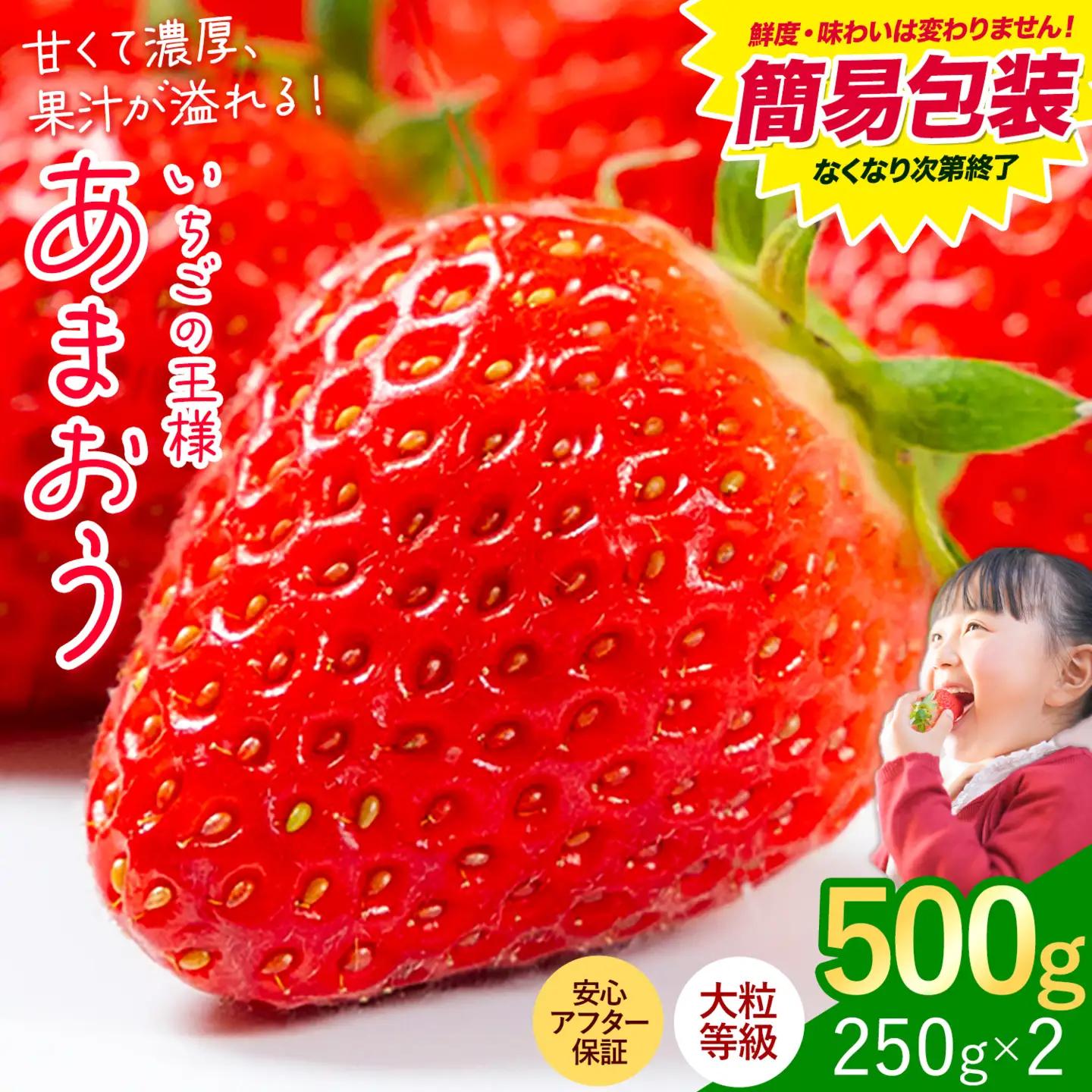 あまおう いちご 500g 簡易包装版