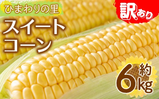 ＜先行予約！2026年6月上旬以降順次発送予定＞＜訳あり・家庭用＞イエローコーン(約6kg) 【man114・man115】【Aglio nero】